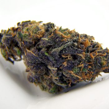 Blueberry Cannabis Strain UK