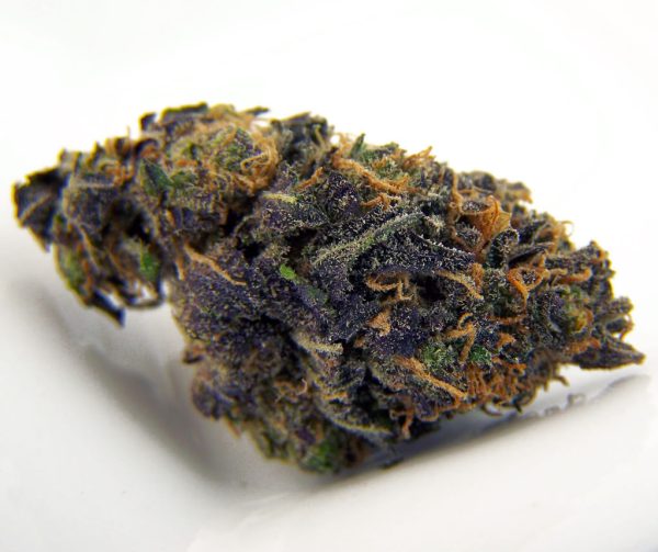 Blueberry Cannabis Strain UK