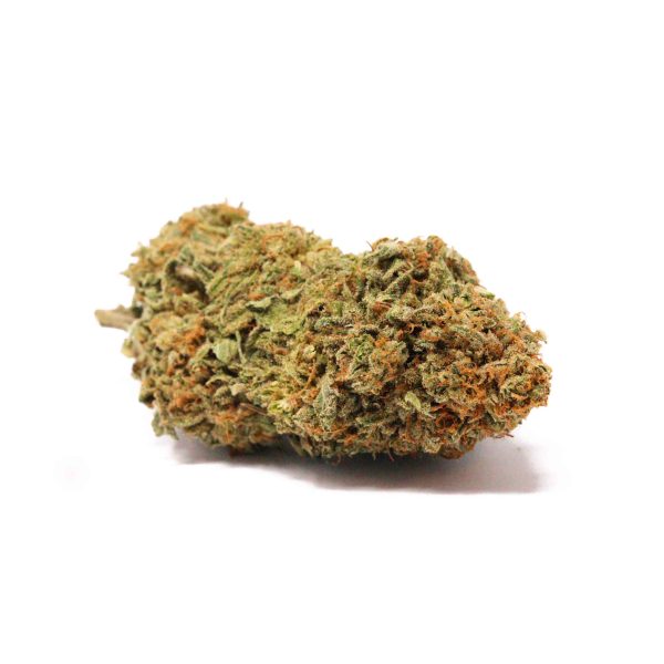 Snowcap Gloucester Marijuana Strain
